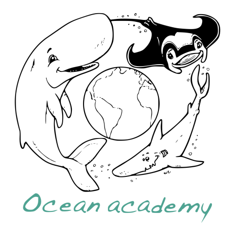 Ocean Academy