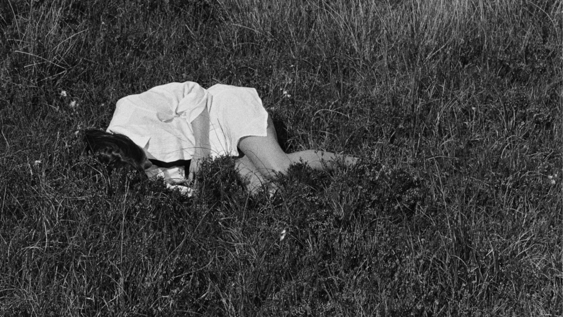 NINA WINDER-LINDLES - WILD LOVE / DÉCOUVERTES FÉRA de la semaine