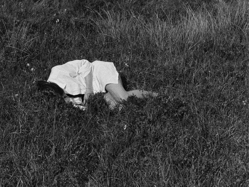 NINA WINDER-LINDLES - WILD LOVE  / DÉCOUVERTES FÉRA de la semaine